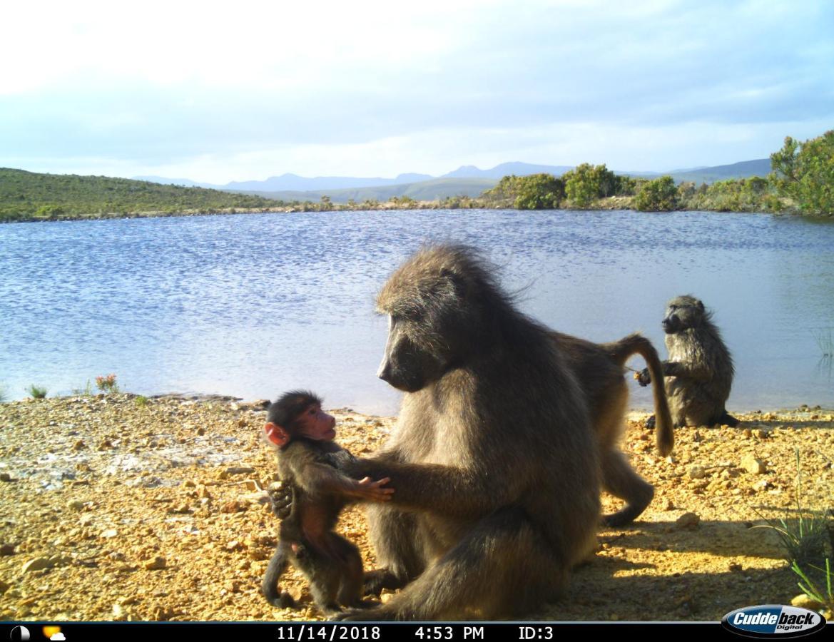 Uilenkraal Farm 215 Private Nature Reserve المظهر الخارجي الصورة