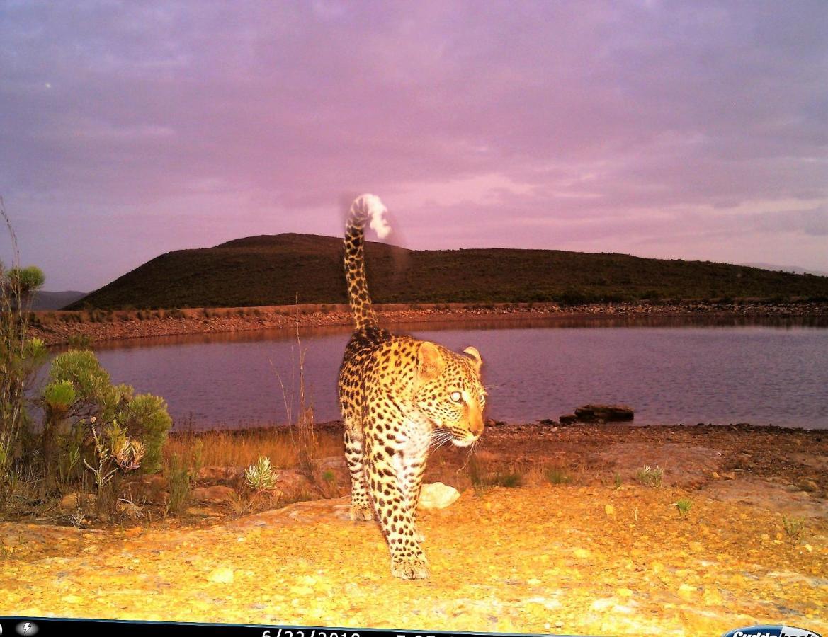 Uilenkraal Farm 215 Private Nature Reserve المظهر الخارجي الصورة