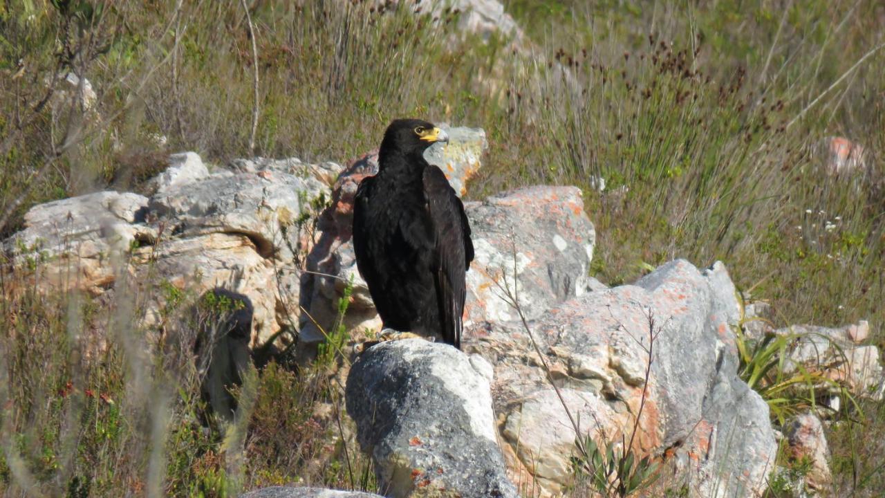Uilenkraal Farm 215 Private Nature Reserve المظهر الخارجي الصورة
