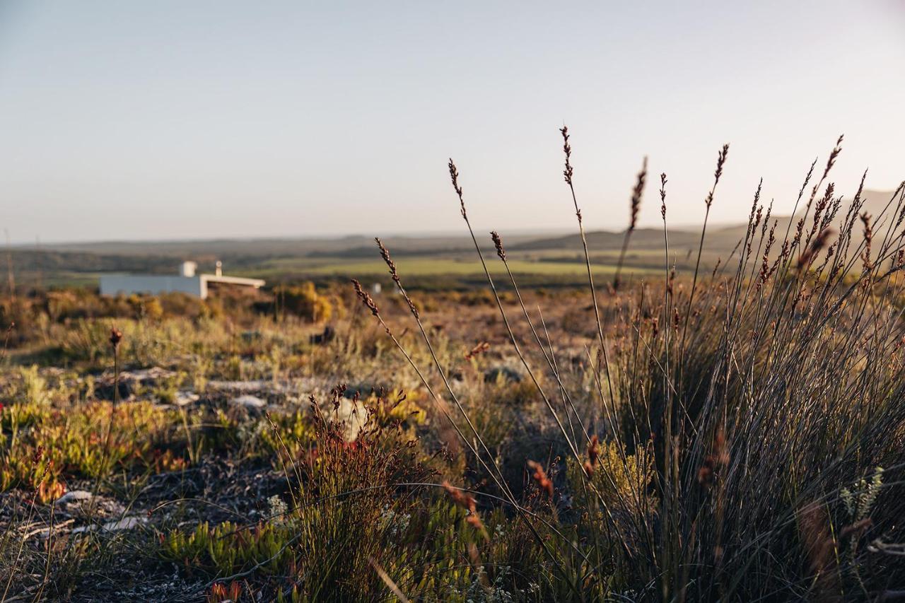 Uilenkraal Farm 215 Private Nature Reserve المظهر الخارجي الصورة
